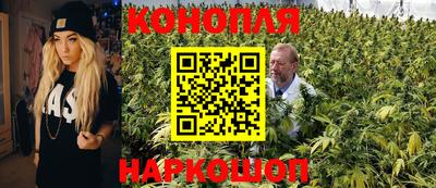 тгк Рыбинск
