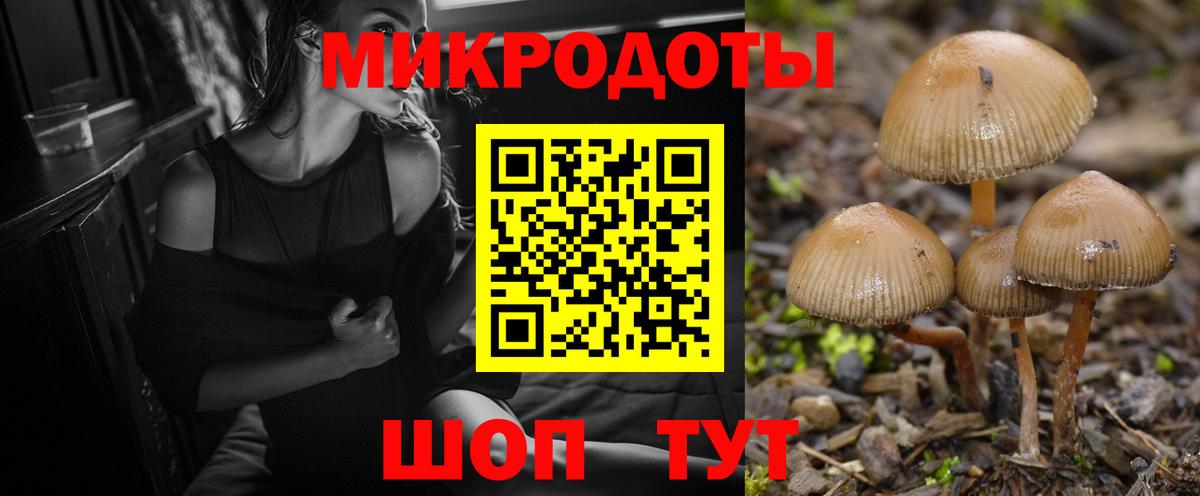 Псилоцибиновые грибы GOLDEN TEACHER  Вход с VPN  Асино 